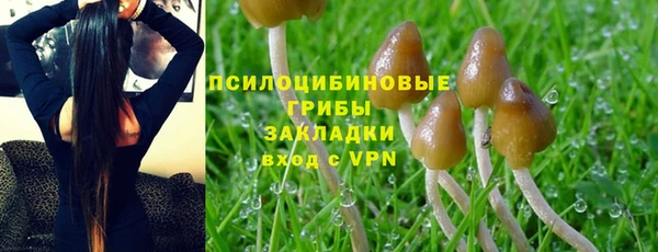 кокаин Ладушкин