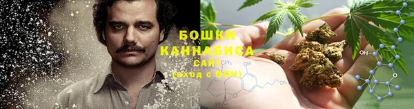 бутират Лагань
