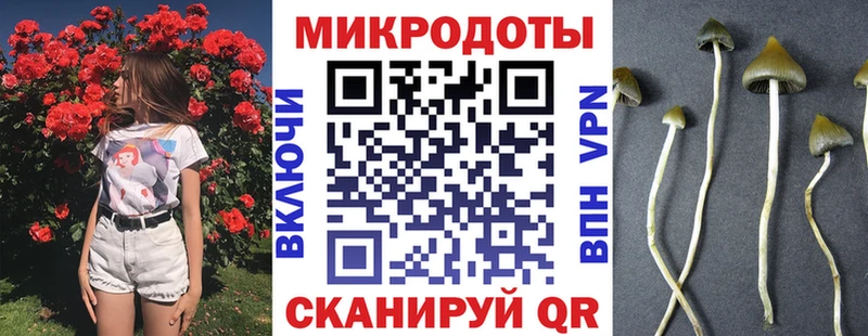 Галлюциногенные грибы Cubensis  купить   Фатеж 